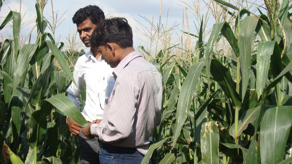 livelihood livelihood